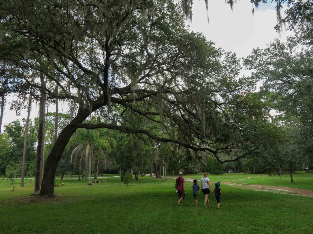 Die Schwetis in Orlando im Park von hinten