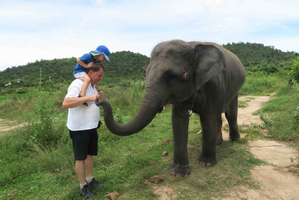 Elefant Song Kran freut sich über Bananen beim Spaziergang