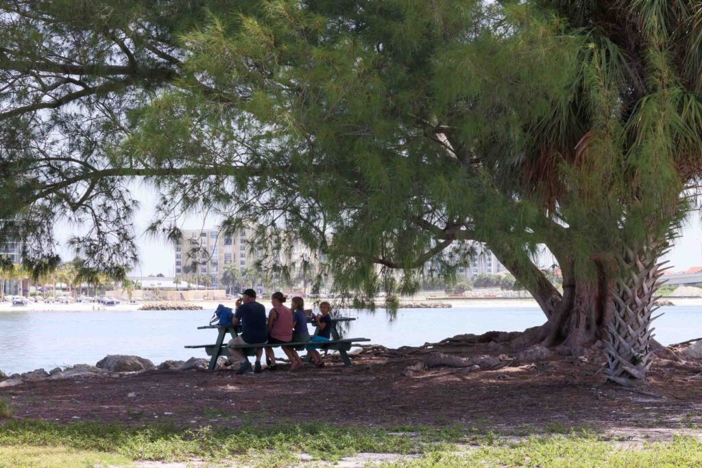 Picknick in Clearwater