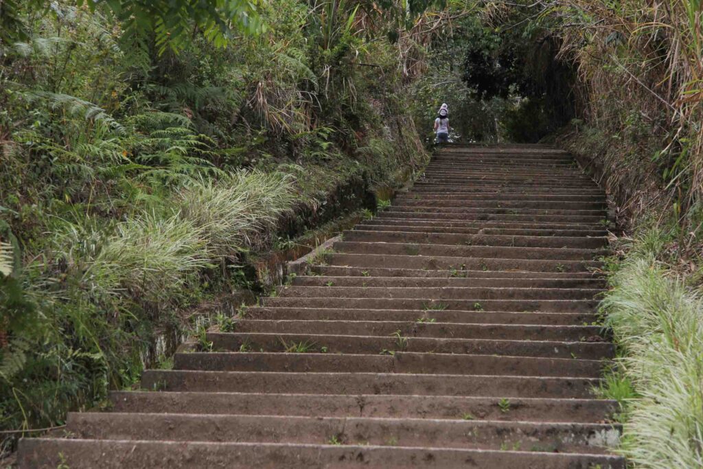 Auf dem Weg zu den Ausgrabungen in San Agustin