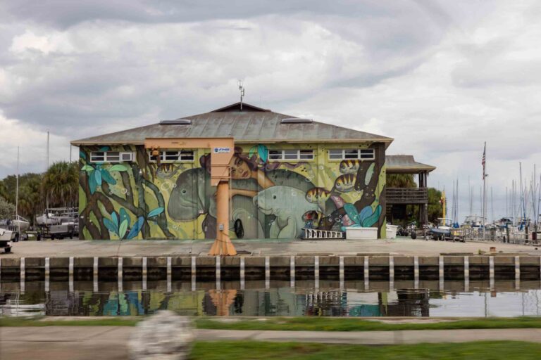 Mural in St. Petersburg - mit Manatis!