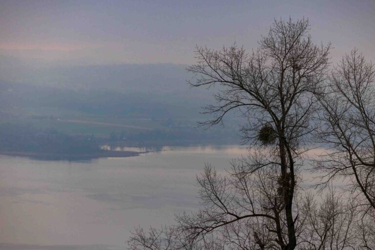 Blick auf den Murtensee