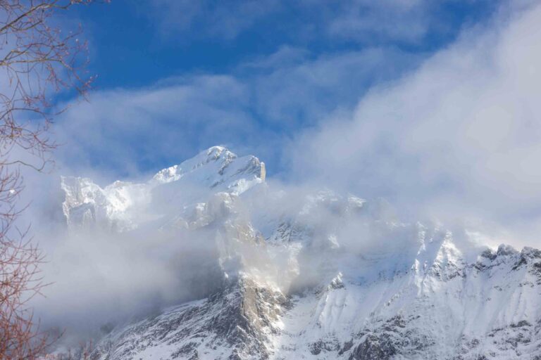 Blick auf das Wetterhorn