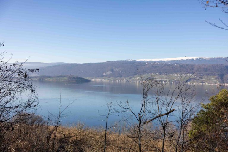 Blick auf den Bielersee von Täuffelen