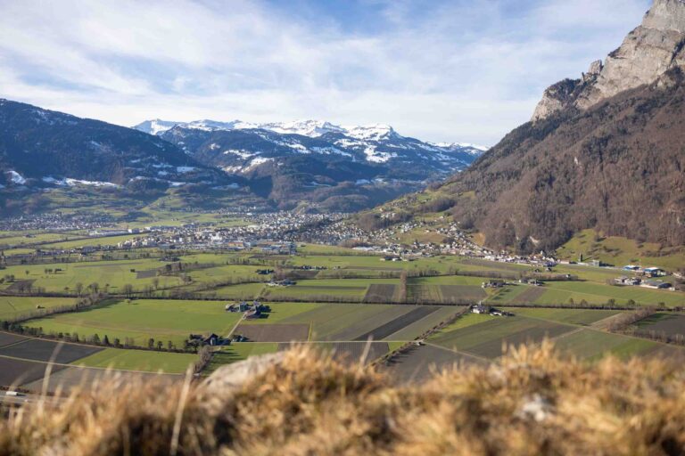 Blick vom Ellhorn in die Schweiz