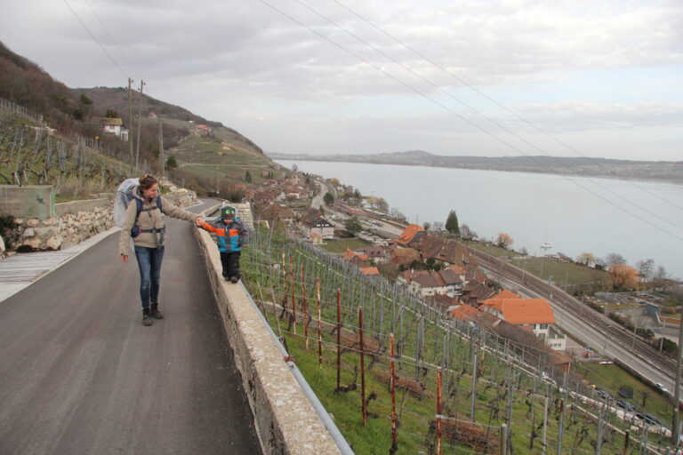 Balancieren entlang der Weinreben