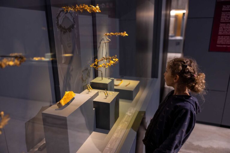 Die Löwin ist fasziniert vom goldenen Kopfschmuck