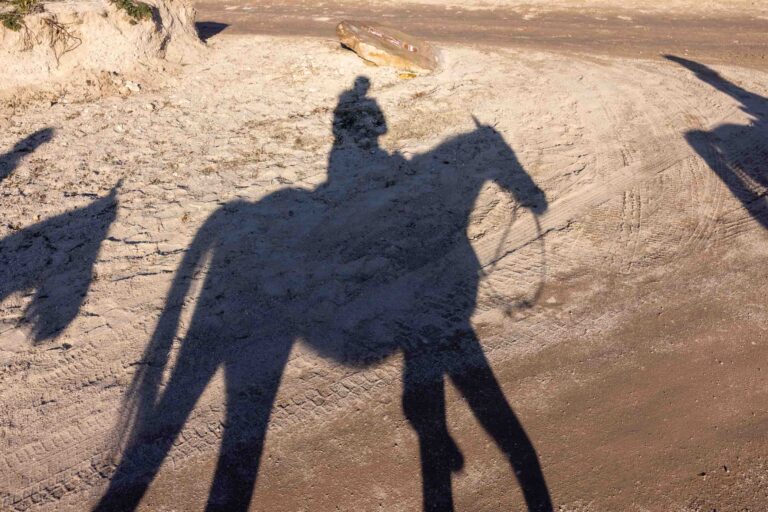 Ausritt in der Abendsonne