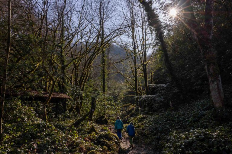 Wanderweg im Mtirala National Park