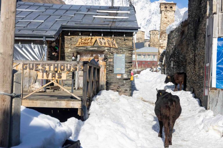 Café Svaneti in Uschguli