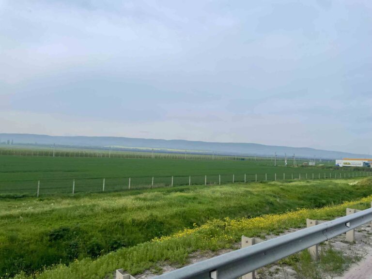 "Unsere" Raststätte zwischen riesigen Feldern