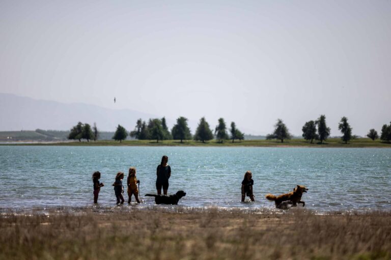 Badespaß mit den Hunden