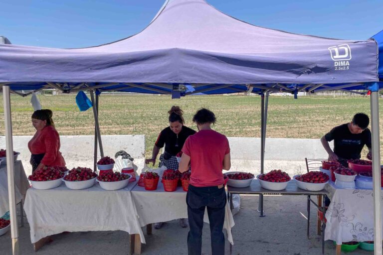 An der Straße gibt es einen Erdbeerstand am anderen!