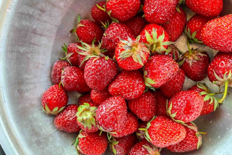 Erdbeeren heißen qulupnay auf Usbekisch