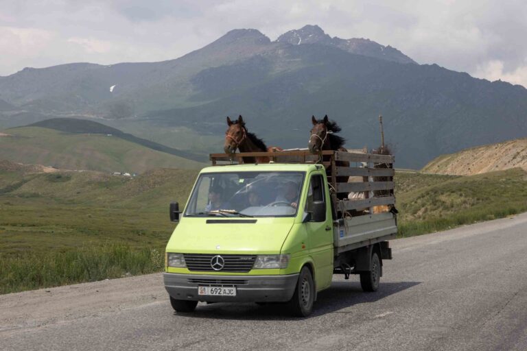 Pferdetransport in Kirgisistan