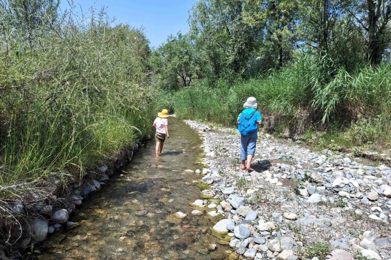 Abkühlung im Fluss