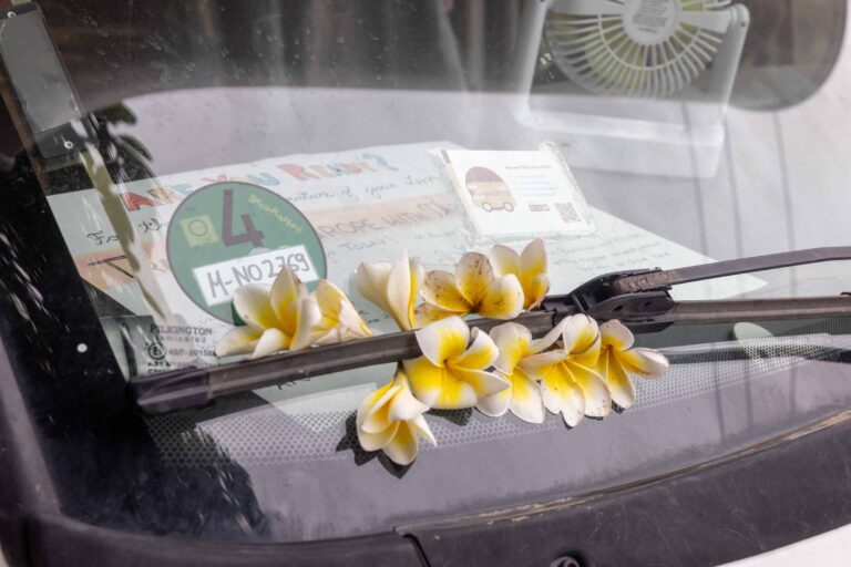 Abschiedsblumen für Lucas